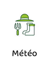 Pas de contraintes météo