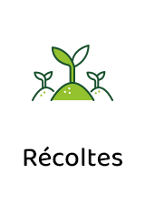 Plusieurs récoltes par année